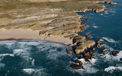 Franklin Point, Año Nuevo State Reserve