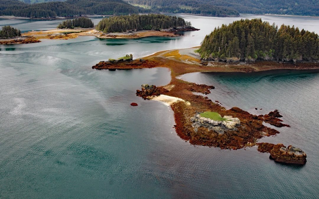 Herring Islands, Kachemak Bay