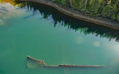 McLean Arm Bay, Prince of Wales Island