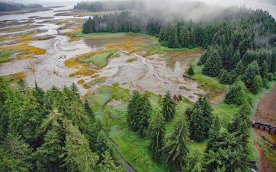 Tyee, Murder Cove