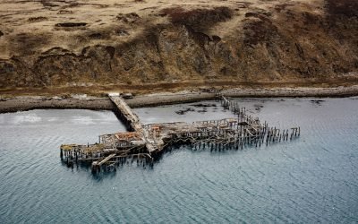 Mutton Cove, Chernofski Harbor