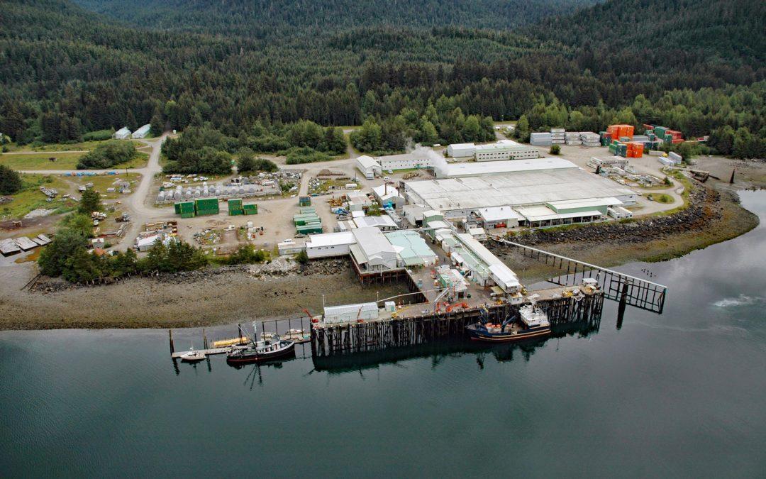 Excursion Inlet, Icy Strait