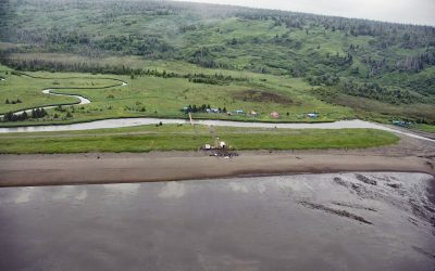 Polly Creek, Cook Inlet