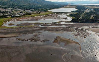 Beluga Slough, Bishops Beach