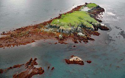 Flat Islands, Kachemak Bay