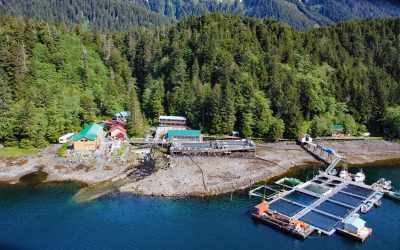 Port Armstrong, Baranof Island