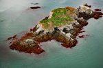 Gull Island, Kachemak Bay