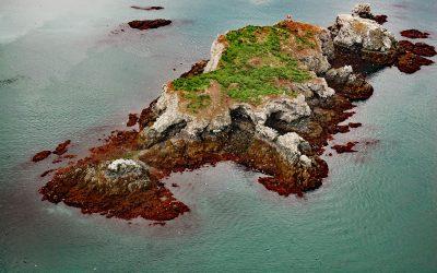 Gull Island, Kachemak Bay