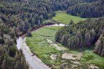 South Slough, Coos Bay