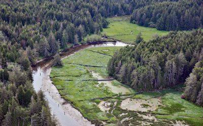 South Slough, Coos Bay
