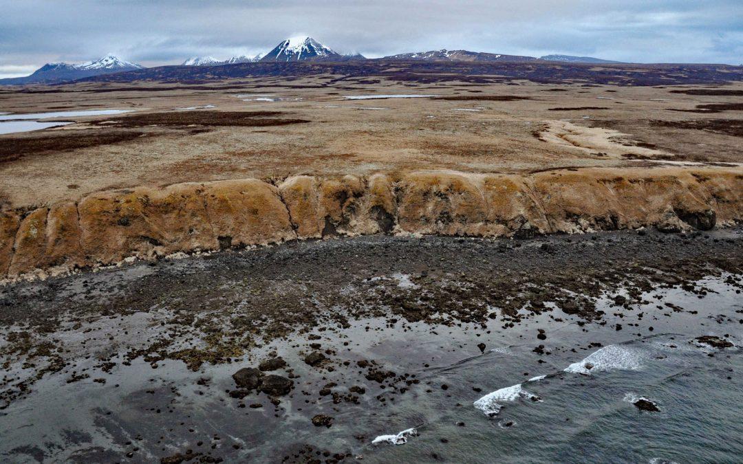 Unga Island Petrified Forest, Shumagin Islands