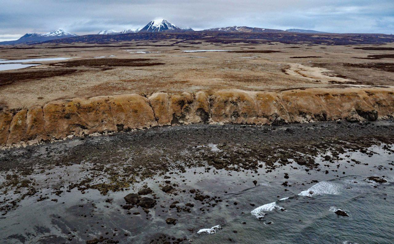 Unga Island Petrified Forest, Shumagin Islands - Coastview