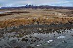 Unga Island Petrified Forest, Shumagin Islands