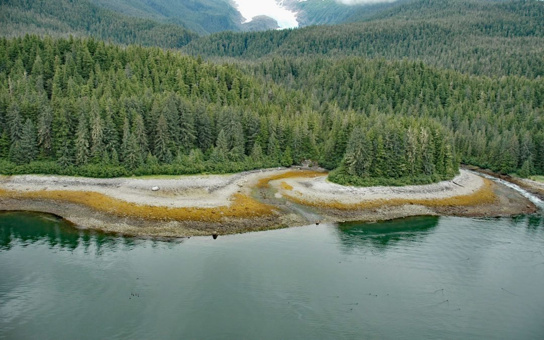 Sumdum Glacier, Powers Creek