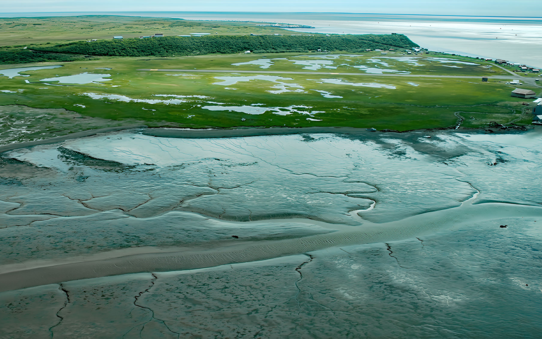 Clark’s Point, Nushagak Bay