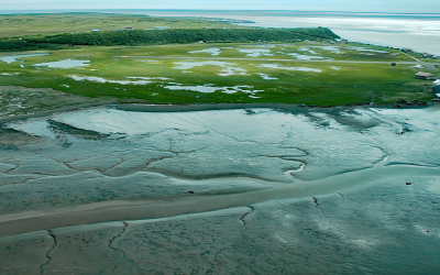 Clark’s Point, Nushagak Bay