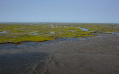 Kwigillingok, Kuskokwim Bay
