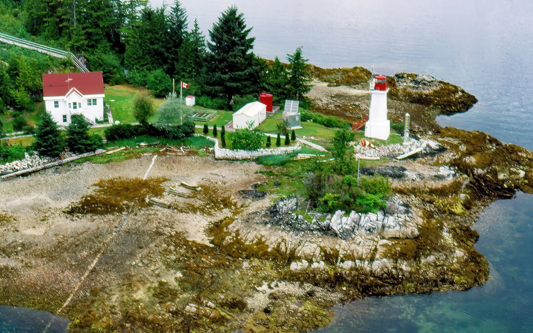 Dryad Point, Campbell Island