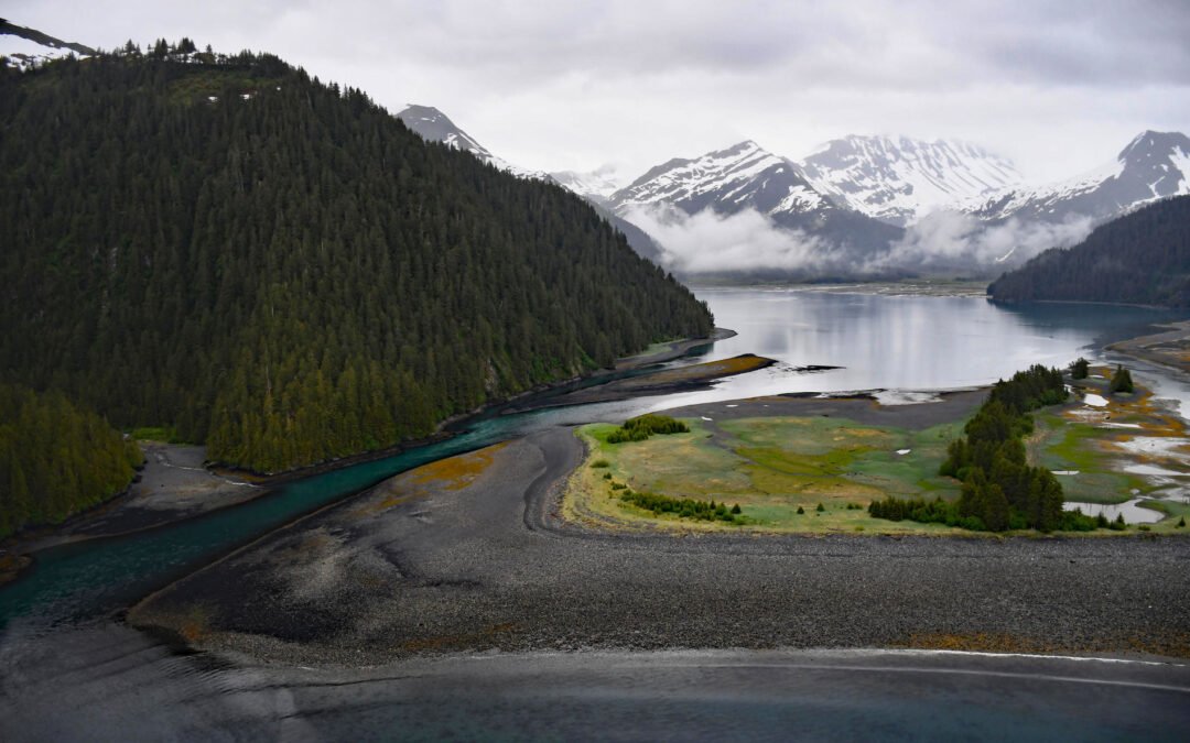 James Lagoon, McCarty Fjord