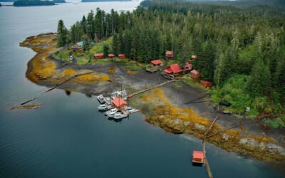 Cannery Cove, Pybus Bay