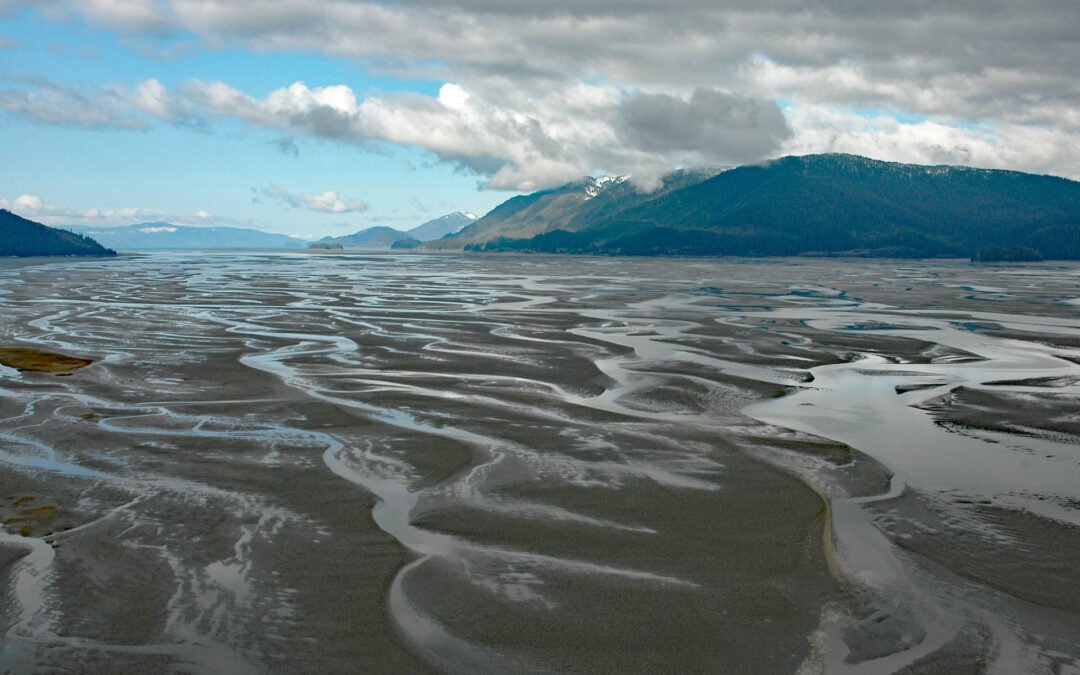 Dry Strait, Stikine River Delta